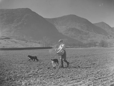 Man with swill basket and two dogs sowing seed by Joseph Hardman