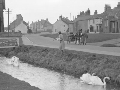 Woman feeding swans in Allonby with man leading horse and cart down road by Joseph Hardman