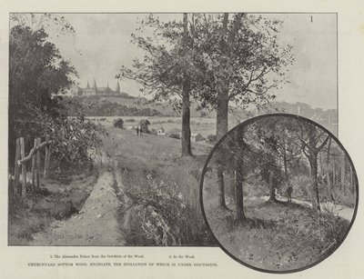 Churchyard Bottom Wood, Highgate by Joseph Holland Tringham