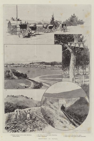 Sketches in Natal by Joseph Holland Tringham