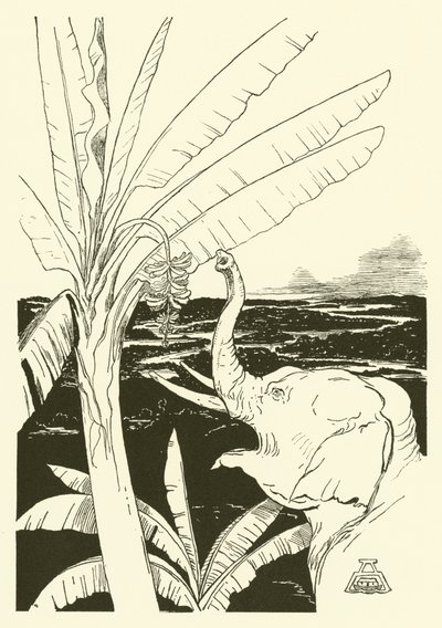 The Elephant