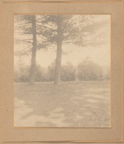 Landscape with Trees, c. 1900 by Joseph Turner Keiley