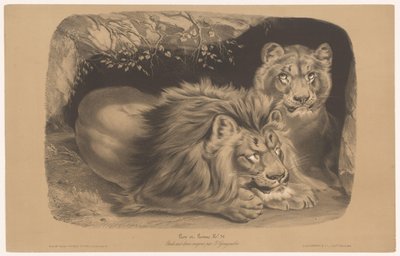 Lion and Lioness by Joseph Zephyris Gengembre