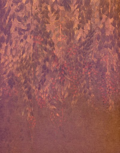Cascading Wisteria Blooms by Josie George
