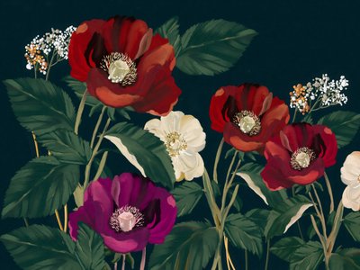 Elegant Dark Poppies by Josie George