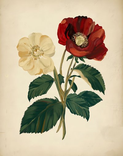 Elegant Red Yellow Flowers by Josie George
