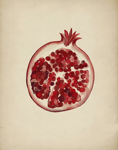 Juicy Red Pomegranate by Josie George