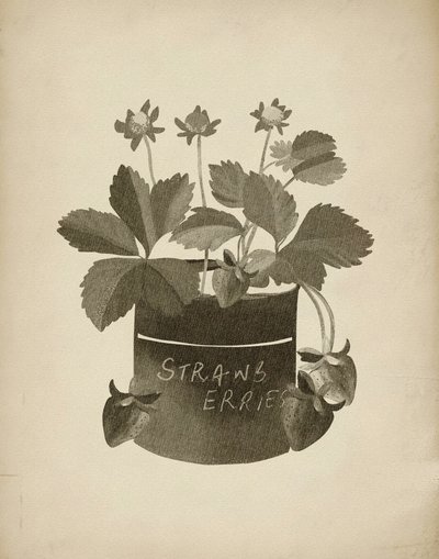 Vintage Strawberry Illustration by Josie George