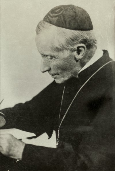 Portrait of American Cardinal James Gibbons by Josse Photo