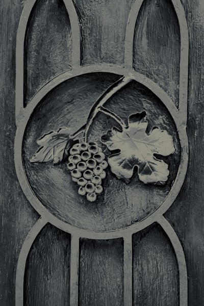 Fruits of the Garden, from the series The Observant by Joy Lions