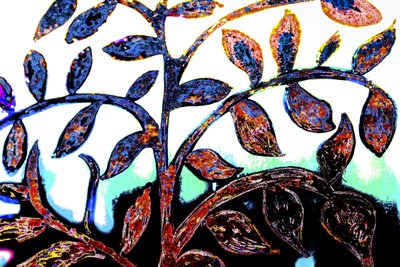 Spring, from the series Italian Synagogue by Joy Lions