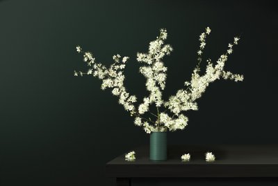 Fresh Spring Blossoms by Juan Antonio Palacios