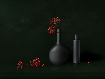 Modern Berry Still Life by Juan Antonio Palacios