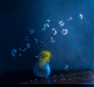 Blue Blossoms And Vase by Judy Tseng