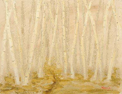 Misty Birch Forest by Jukyong Park