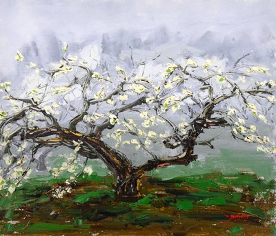 Spring Blossom Tree by Jukyong Park