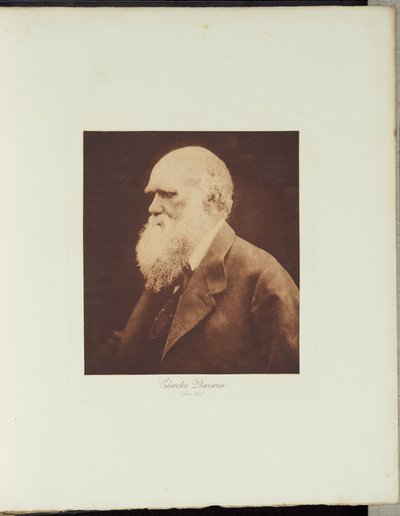 Charles Darwin by Julia Margaret Cameron