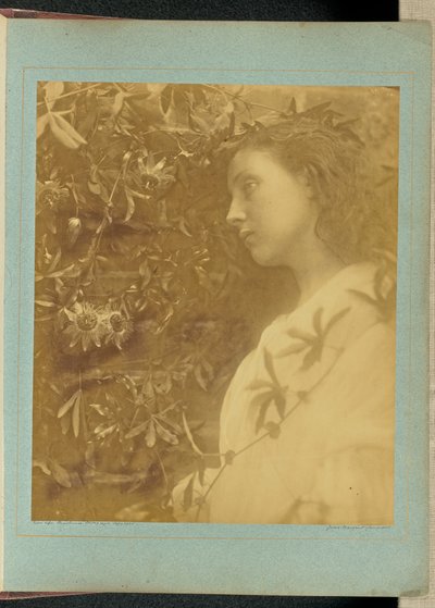 Maud "There has fallen a splendid tear" / "From the passion flower at the gate." by Julia Margaret Cameron
