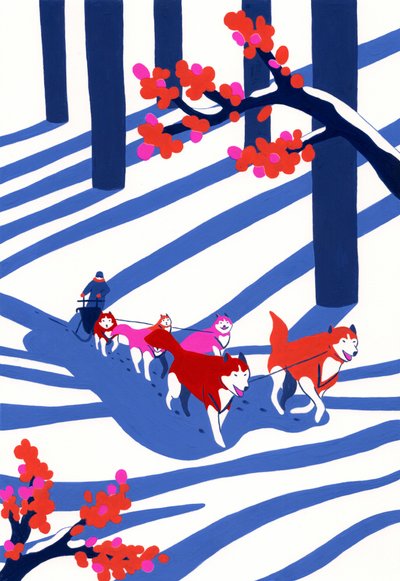 Husky Sledding Adventure by Julie Lesouef