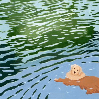 Swimming Golden Retriever by Julie Lesouef