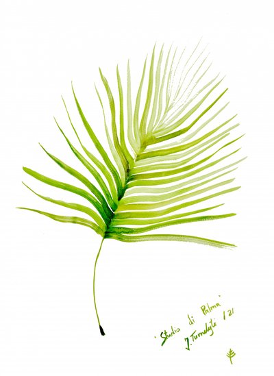 Green Palm Leaf Watercolor by Julija Belickienė