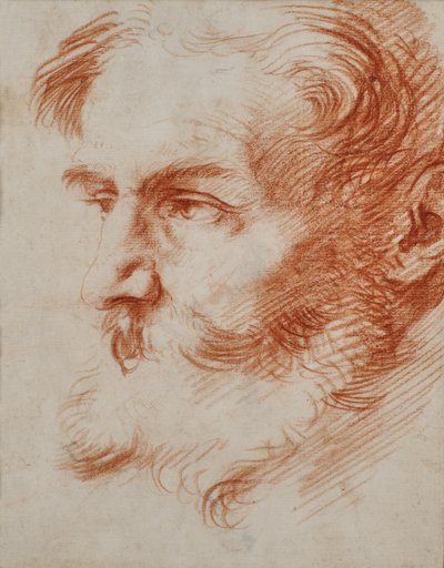 Head of a Bearded Man by Jusepe de Ribera