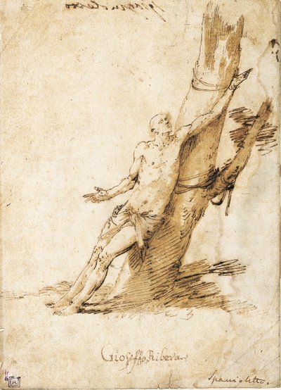 Saint Sebastian Tied to a Tree, Looking Up to the Right by Jusepe de Ribera