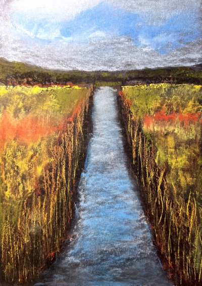 Golden Field Path by Justyna Jaszke