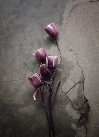 Moody Concrete Blooms by Kahar Lagaa