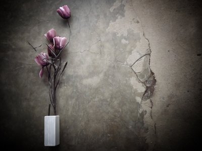Moody Purple Flowers Concrete by Kahar Lagaa