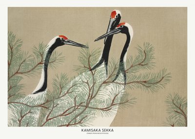 Cranes from Momoyogusa by Kamisaka Sekka