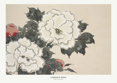 Flowers from Momoyogusa by Kamisaka Sekka