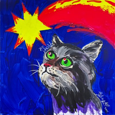 Cat and Comet by Kanat Ibragimov