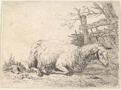 A sheep lying with its legs folded underneath its body next to a wooden fence by Karel Du Jardin
