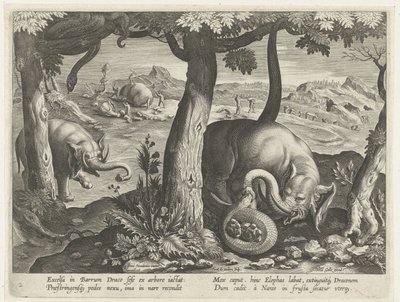 Elephant Fighting with Snake by Karel van Mallery (attributed to)