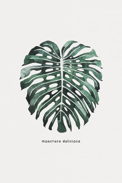 Monstera Leaf Watercolor by Karen Menzenbach