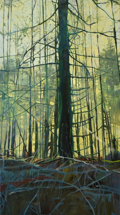 Ethereal Forest Light by Karin Bos