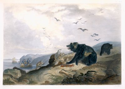 Hunting of the Grizzly Bear, plate 36 from Volume 2 of 