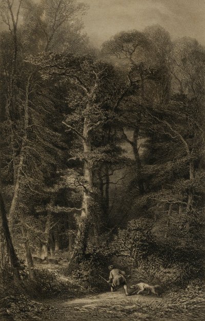 Interior of Forest by Karl Bodmer