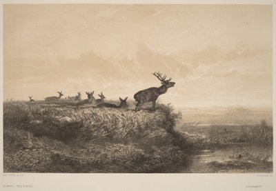 Morning by Karl Bodmer