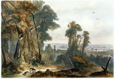 New Harmony on the Wabash, Plate 2 from Volume 2 of 