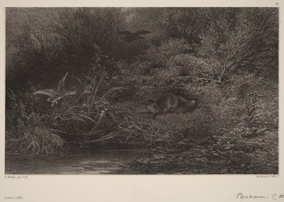 Fox on the Lookout by Karl Bodmer