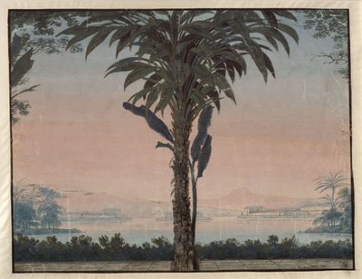 Athalia. Opera by Johann Nepomuk von Poissl. Design for the 4th Decoration. Garden of the High Priest with Large Palm in Front of a Water Surface by Karl Friedrich Schinkel