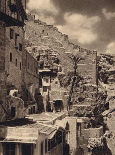 Mar Saba, Palm of St Sabas by Karl Grober