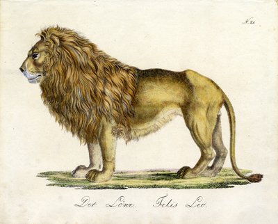 The Lion by Karl Joseph Brodtmann