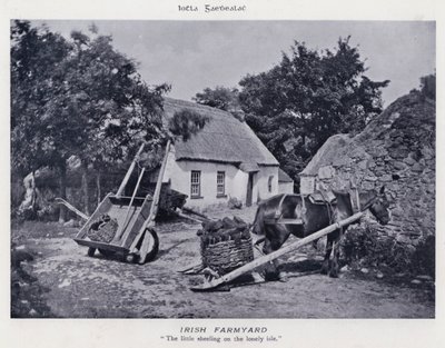Irish Farmyard by Karl Karlovich Piratsky