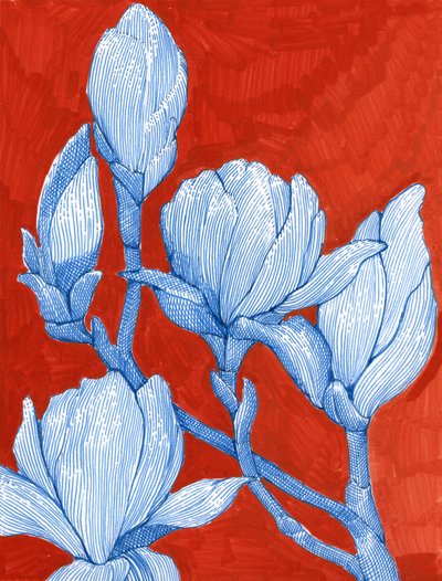 Bold Blue Magnolias by Katie O'Shea