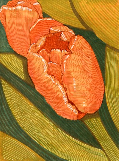Bright Orange Tulips with Green Leaf Line Drawing by Katie O'Shea