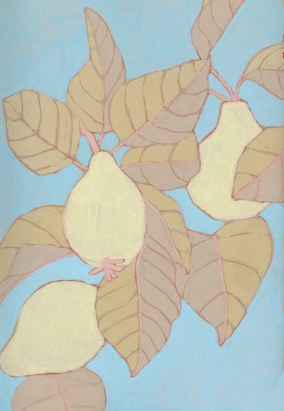 Pears on Blue Branch by Katie O'Shea