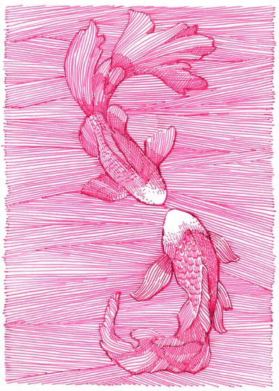 Pink Koi Dance by Katie O'Shea